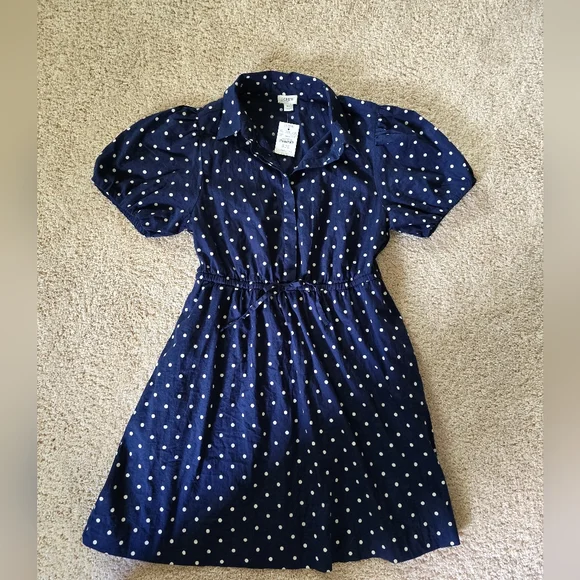 j crew blue polka dot dress J. Crew Collection Cecily Dress Polka Dot Poplin Womens 2 Blue Puffer Sleeve NWT
